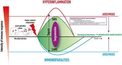 Recombinant GM-CSF for diseases of GM-CSF insufficiency: Correcting dysfunctional mononuclear phagocyte disorders